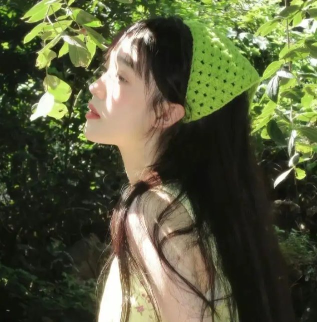 蝴蝶夫人的现代家庭
