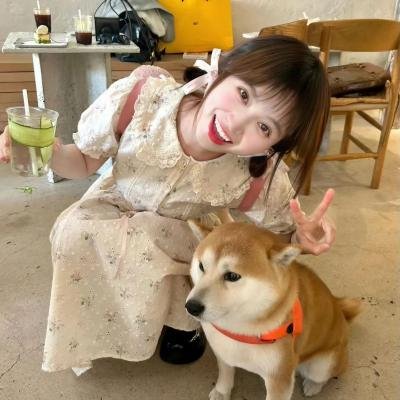 佐利的成长
